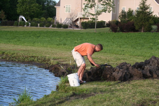 Brad at work on a muskrat job